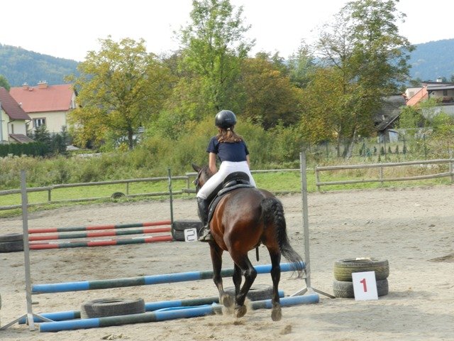 Babie Lato 2016
